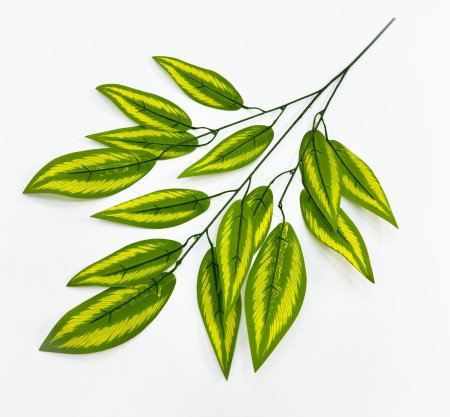 картинка Лист аглаонемы с желтой жилкой от магазина KALINA