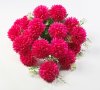Хризантема "Богема" 18 цветков
