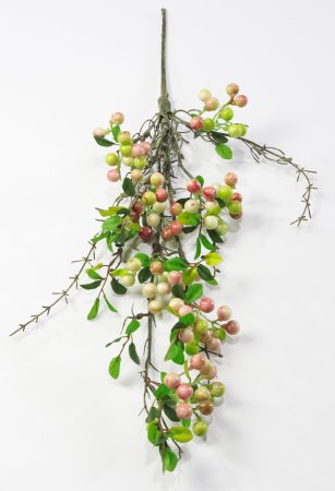 Ветка с разноцветными ягодами