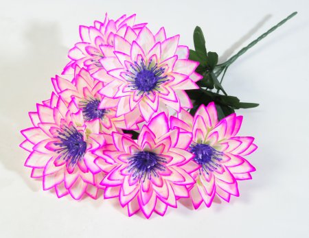 Букет астр Махровая смесь 6 цветков