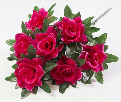 Роза "Бриджит" 7 цветков от магазина KALINA являющийся официальным дистрибьютором в России 