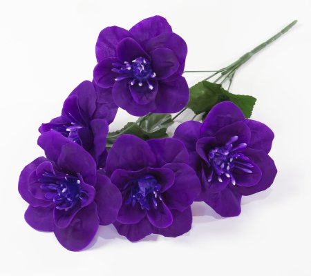 Нарцисс "Джувел" 5 цветков