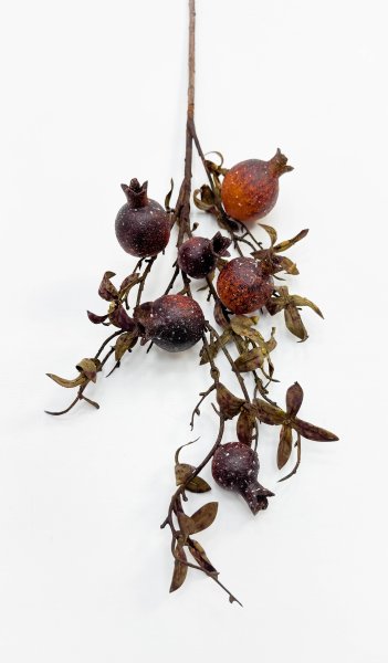 Гранат "Осень" 