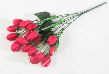 Крокус 18 цветков