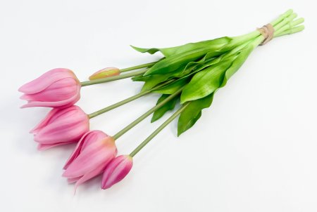 Тюльпан "Триумф" светло-розовый