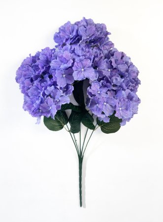 Гортензия 6 веток