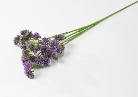 Ветка "Джуэл"