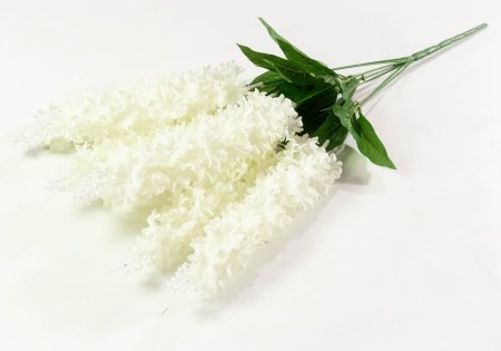 2f505041561f968b2180422314288622