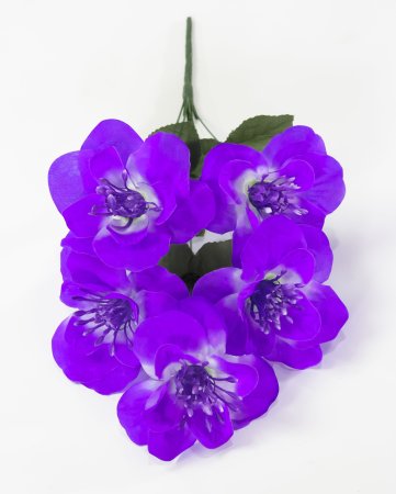 Нарцисс "Джувел" 5 цветков