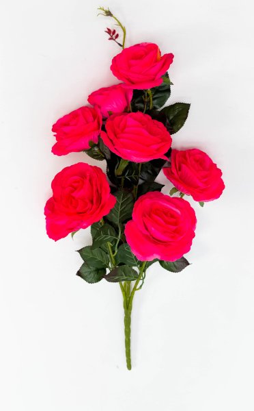 Роза "Клодет" 8 цветков