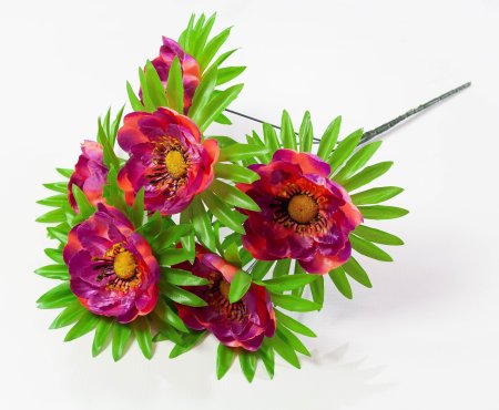 486c38e31ecce34cac492062fe7885d1