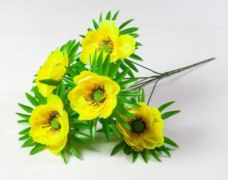 c5d7256bc46f9a7a37bf11777bde0b34