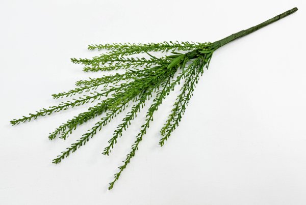 картинка Вереск "Эрика" лето от магазина KALINA