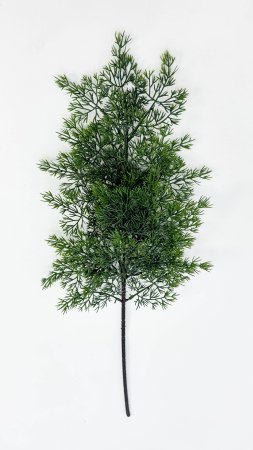 картинка Туя "Летняя пора" темно-зеленая 2 от магазина KALINA