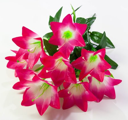 Лилия "Алика" 9 цветков