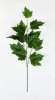 картинка Ветка клена зеленая от магазина KALINA