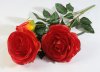 Ветка роз "Фан-фан"