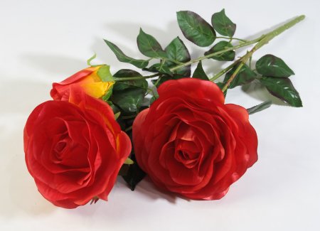 Ветка роз "Фан-фан"