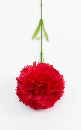 Гвоздика "Шабо" красная