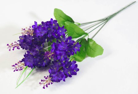 Сирень 5 веток