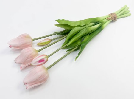 Тюльпан "Триумф" нежно-розовый