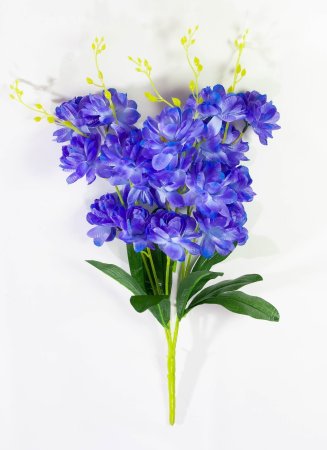 Орхидея "Загадка" 5 веток