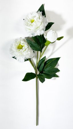 Ветка пиона "Феликс Суприм" молочный