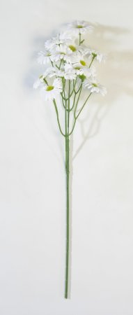 Ветка ромашек "Зауралочка"