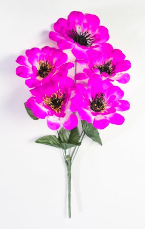 Георгин "Тристан" 5 цветков