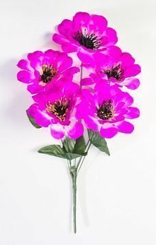 Георгин "Тристан" 5 цветков от магазина KALINA являющийся официальным дистрибьютором в России 
