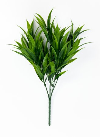 картинка Рускус лесной от магазина KALINA