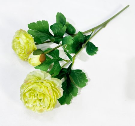 Пион Махровый 2 цветка 1 бутон