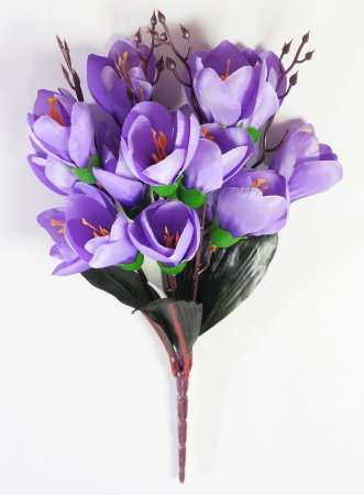 Крокус "Звездный вальс" 15 цветков