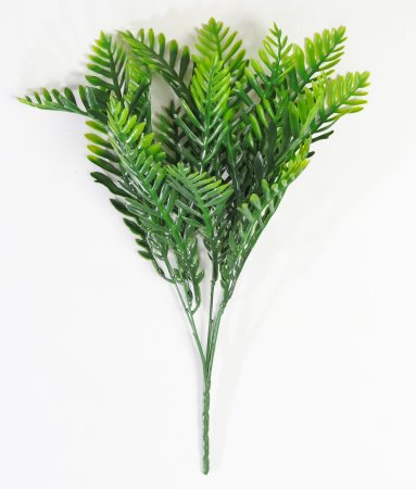 картинка Ветка платицериума от магазина KALINA