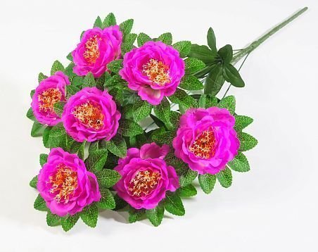 Пион "Кадриль" 7 цветков от магазина KALINA являющийся официальным дистрибьютором в России 