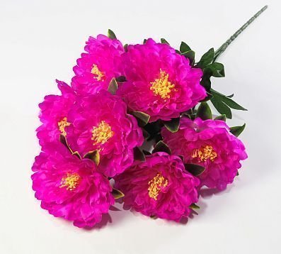 Пион "Гарант" 7 цветков от магазина KALINA являющийся официальным дистрибьютором в России 