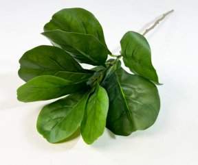 Лирата 9 листов