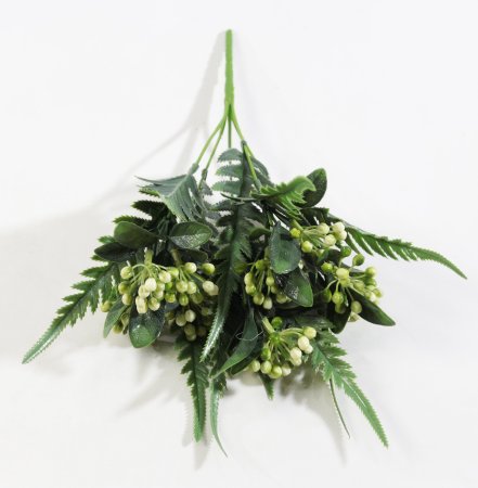 Нидорелла ивифолия