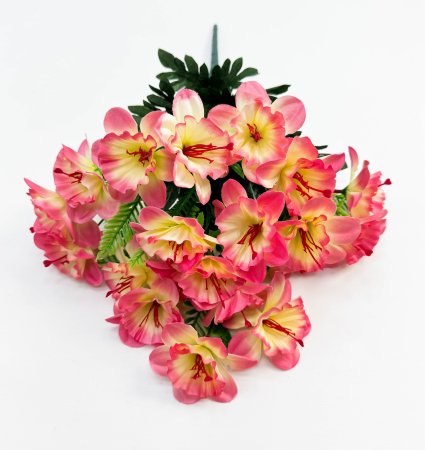 Нарцисс  22 цветка