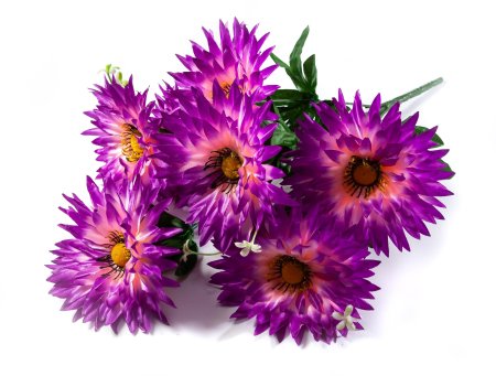 Букет астры Игла 7 веток 7 цветков