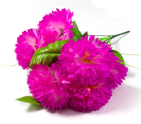 Букет гвоздики "Блеск" 7 цветков