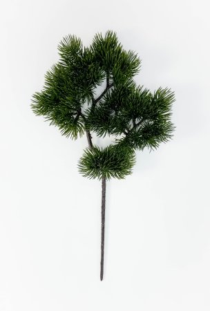 картинка Сосна бонсай темный от магазина KALINA