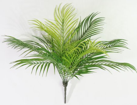 картинка Ветка пальмы "Африка" от магазина KALINA