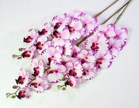 Ветка орхидеи 20 от магазина KALINA являющийся официальным дистрибьютором в России 