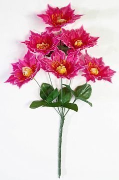 Астра "Огниво" 6 цветков от магазина KALINA являющийся официальным дистрибьютором в России 