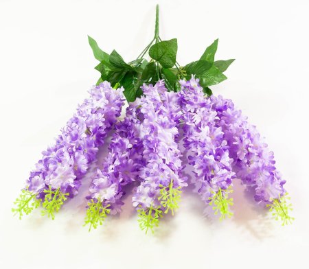 9f01af65e1c7c2a3a910e9a01a3b52c2