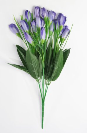 Крокус 21 цветок