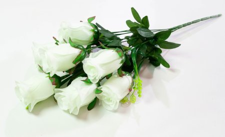 720360f22181e41f5ff7c3f9ccba2c97