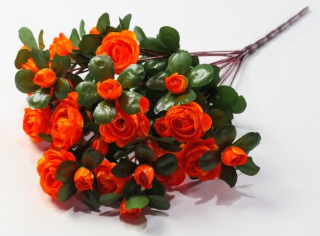 Ранункулюс 36 цветков