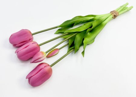 Тюльпан "Корона весны" светло-розовый